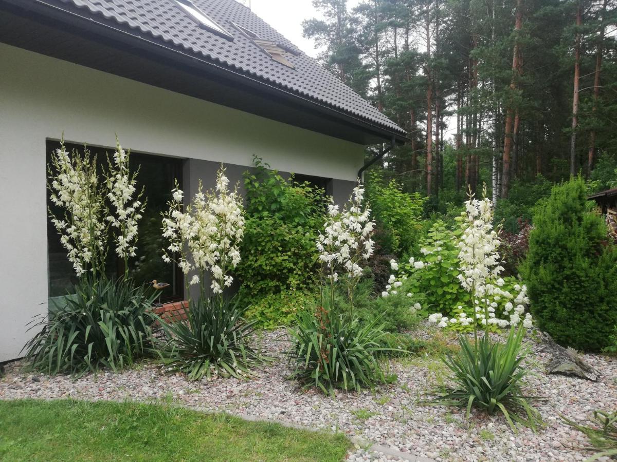 Cudodomek Spa W Mrozach Wielkich Kolo Elku Екстериор снимка